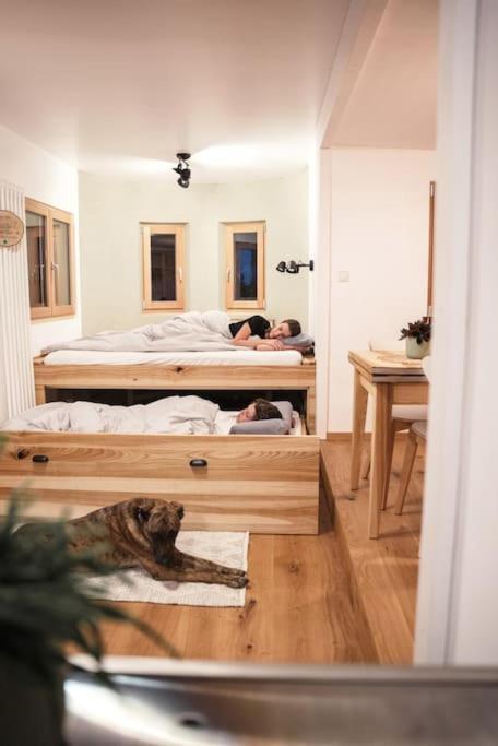 Wohnwagon Paul - Autarkie Erleben! - Tiny House Villa Oberschneiding Exterior photo